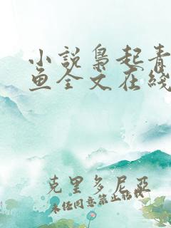 小说枭起青壤尾鱼全文在线阅读