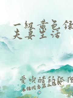 一级黄色录像片夫妻生活