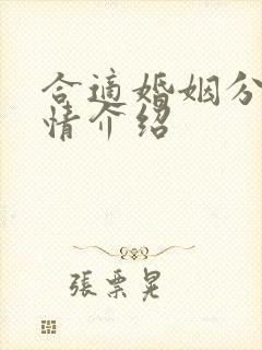 合适婚姻分集剧情介绍