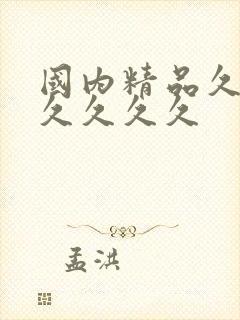 国内精品久久久久久久久