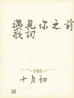 遇见你之前的我歌词