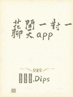 花开一对一视频聊天app