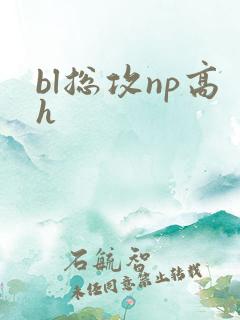 bl总攻np高h