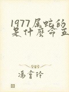 1977属蛇的是什么命五行