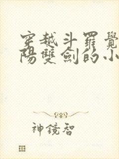 穿越斗罗觉醒阴阳双剑的小说