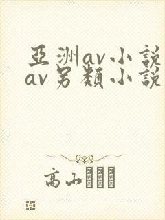 亚洲av小说区av另类小说