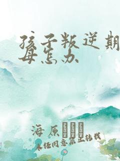 孩子叛逆期打父母怎办