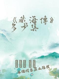 《藏海传》一共多少集