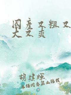 国产又粗又黄又大又爽