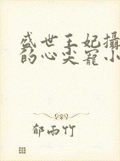 盛世王妃摄政王的心尖宠小说