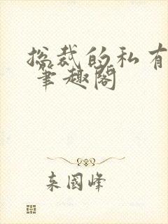 总裁的私有宝贝 笔趣阁