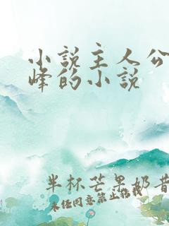 小说主人公叫林峰的小说