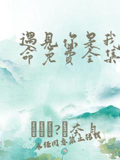 遇见你是我的宿命免费全集