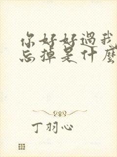 你好好过我慢慢忘掉是什么歌