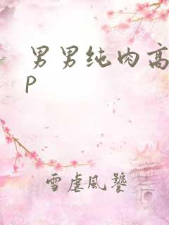 男男纯肉高hnp