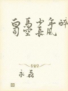 白马少年醉春风司空长风