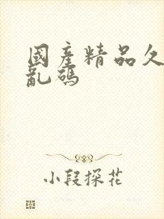 国产精品久久久乱码