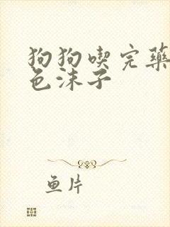 狗狗吃完药吐白色沫子