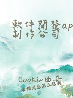 软件开发app制作公司