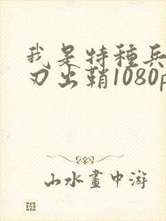 我是特种兵之利刃出鞘1080p下载