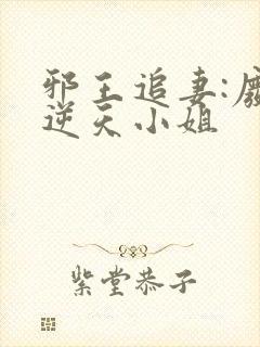 邪王追妻:废材逆天小姐