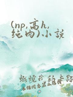 (np,高h,纯肉)小说