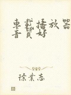 车载播放器哪个音质好