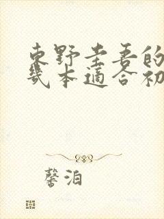 东野圭吾的书哪几本适合初中生看