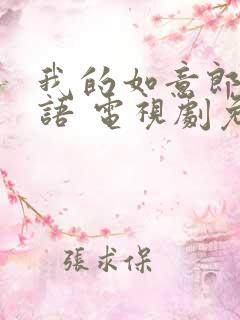 我的如意郎君国语 电视剧免费观看