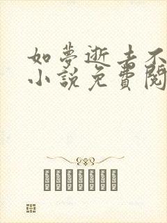 如梦逝去不可追小说免费阅读全文