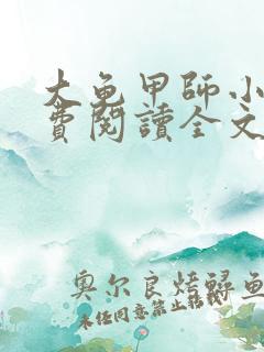 大龟甲师小说免费阅读全文下载