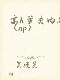 高h荤爽肉欲文〈np〉