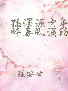 孙泽源少年白马醉春风演的谁