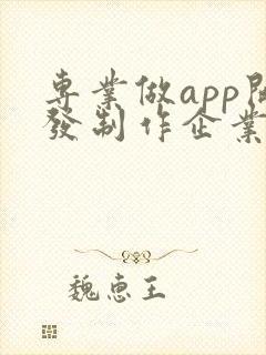 专业做app开发制作企业