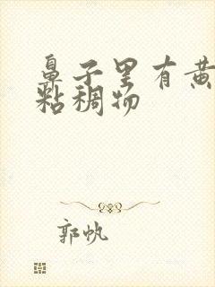 鼻子里有黄绿色粘稠物