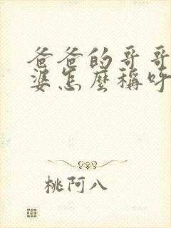 爸爸的哥哥的老婆怎么称呼