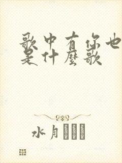 歌中有你也有我是什么歌
