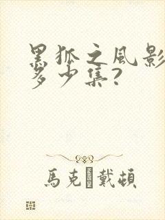 黑狐之风影一共多少集?