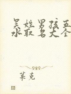 吴姓男孩五行缺水取名大全