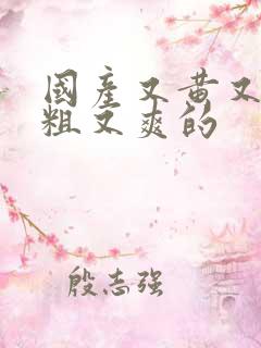 国产又黄又猛又粗又爽的