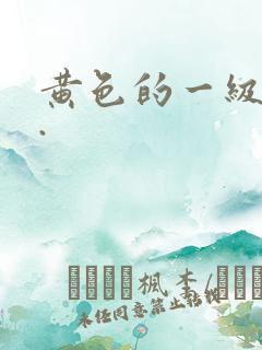 黄色的一级片儿.