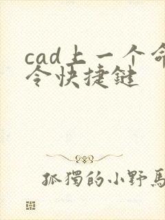 cad上一个命令快捷键