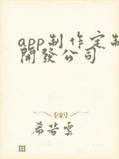 app制作定制开发公司