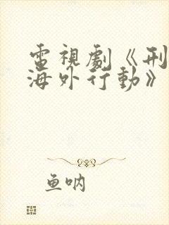 电视剧《刑警之海外行动》