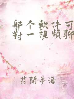 哪个软件可以一对一视频聊天