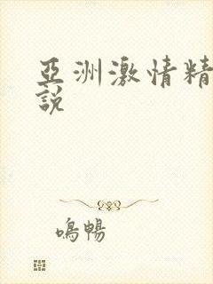 亚洲激情精品小说