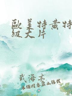 欧美特黄特色一级大片