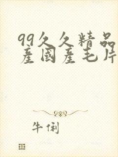 99久久精品国产国产毛片