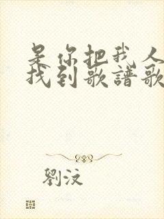 是你把我人海中找到歌谱歌词