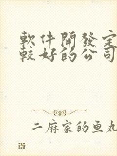 软件开发定制比较好的公司